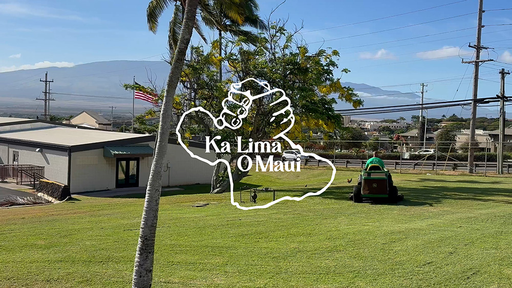 Meet Our Team Leader Ben Hokoana